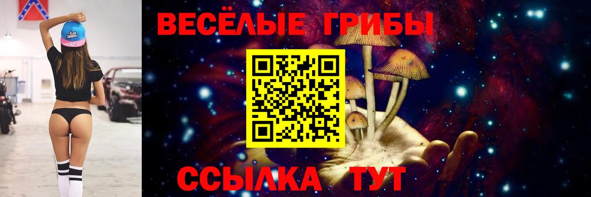 Белово  Псилоцибиновые грибы мухоморы  Вход с VPN 